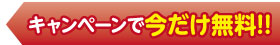 今だけ無料キャンペーン